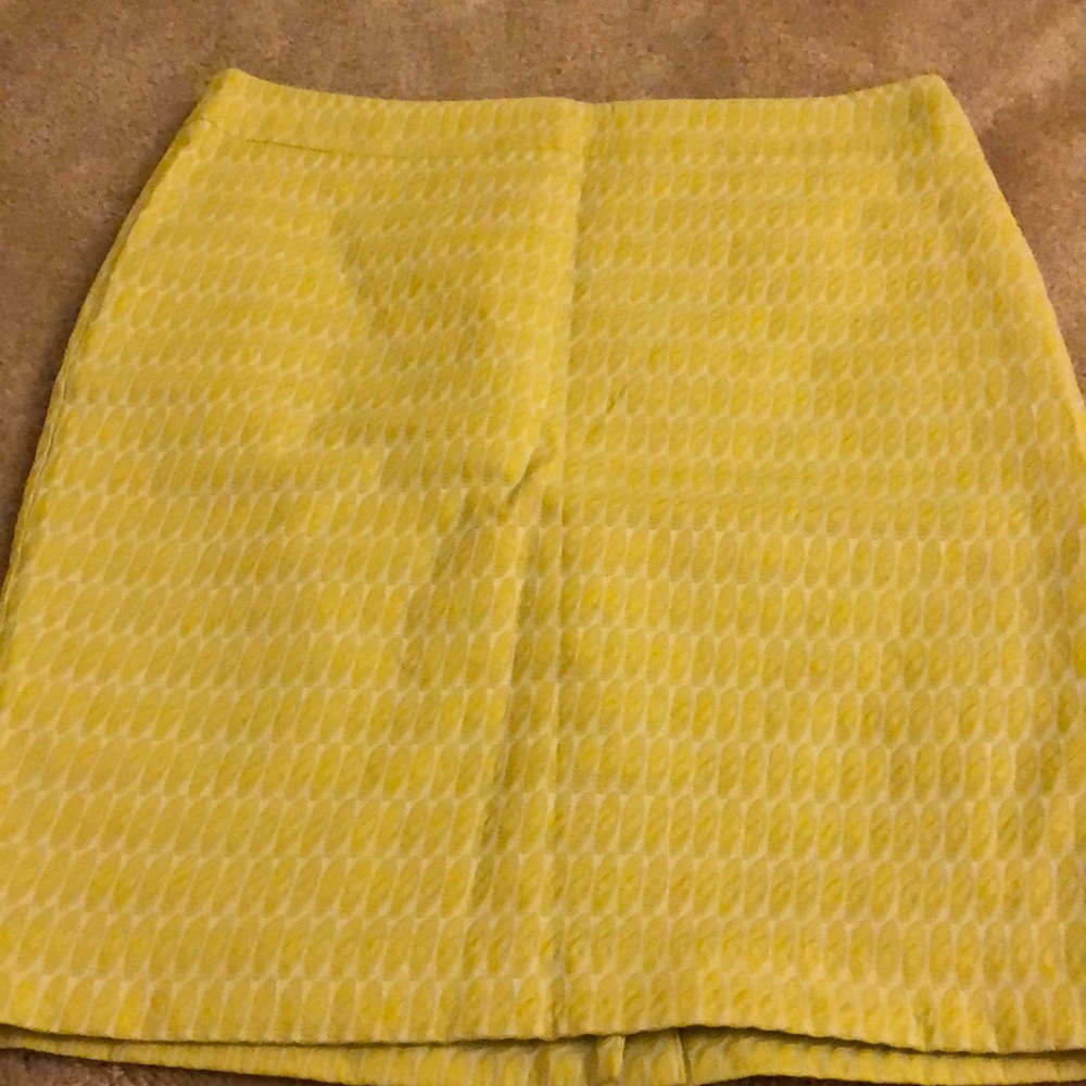 Ann Taylor Pencil Skirt